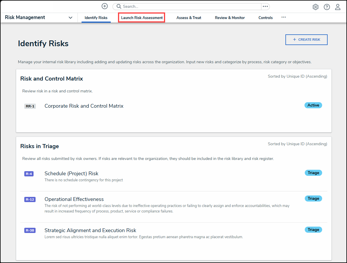 Launch Risk Assessment Tab.png