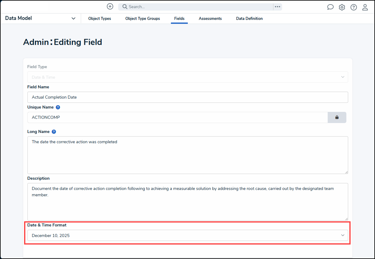 Date & Time Format Field.png