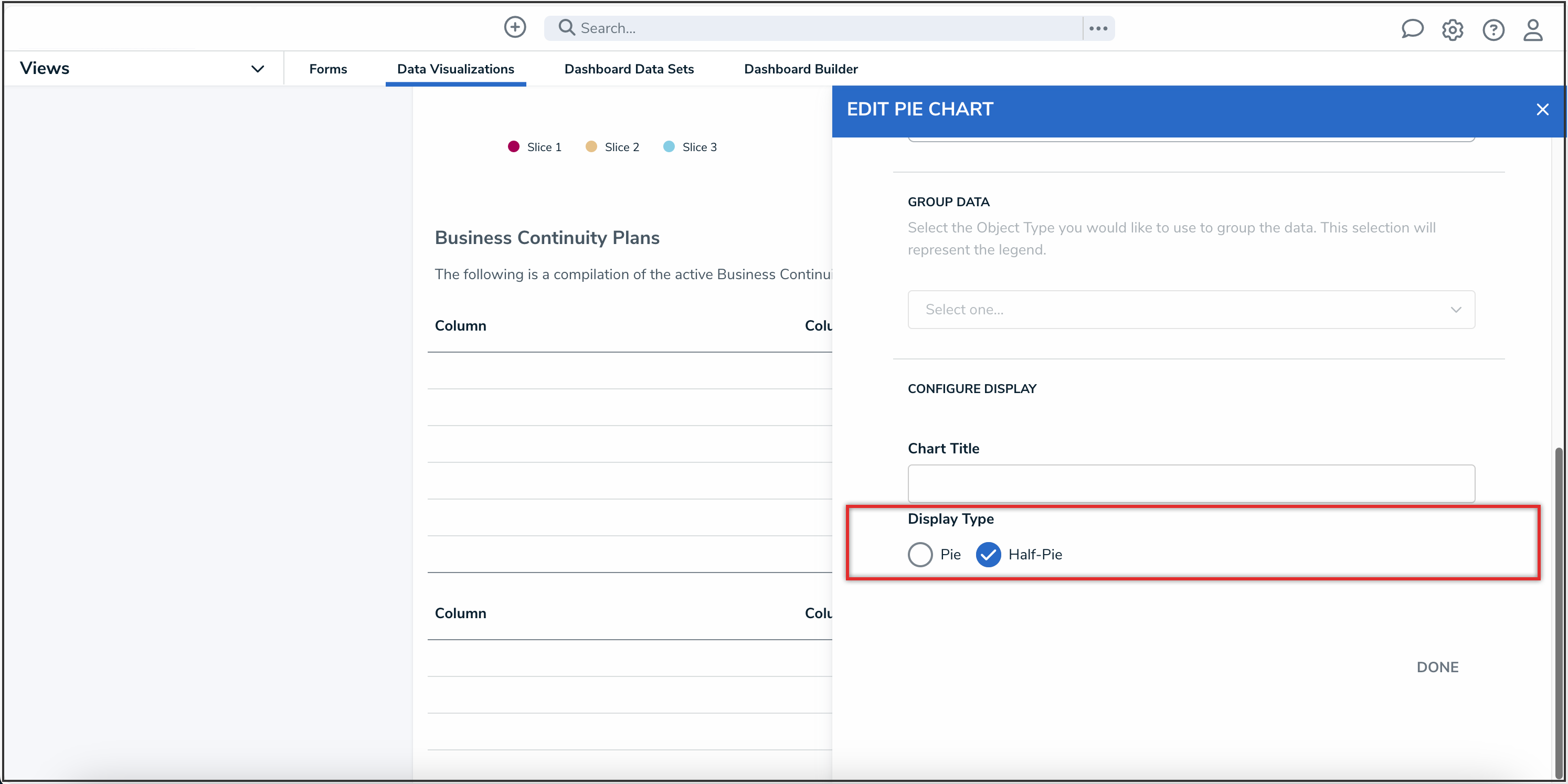 Display Type Section