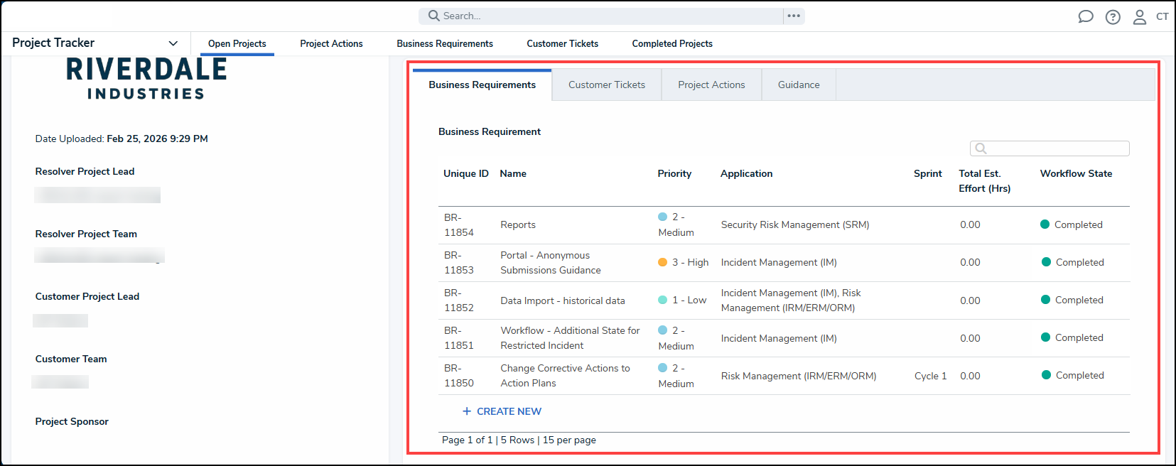 Business Requirements Tab.png