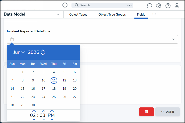 Date and Time Field.png